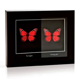 Artglass Reflexfritt med 70% UV-skydd
